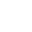 Form Icon