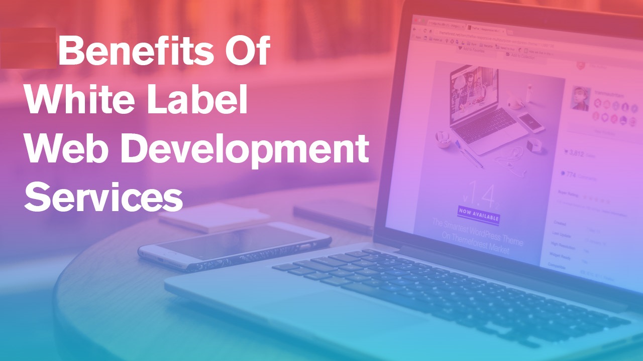 white label wordpress development