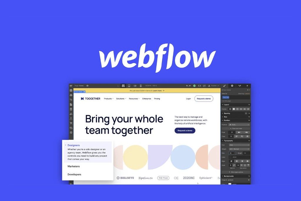 Webflow login