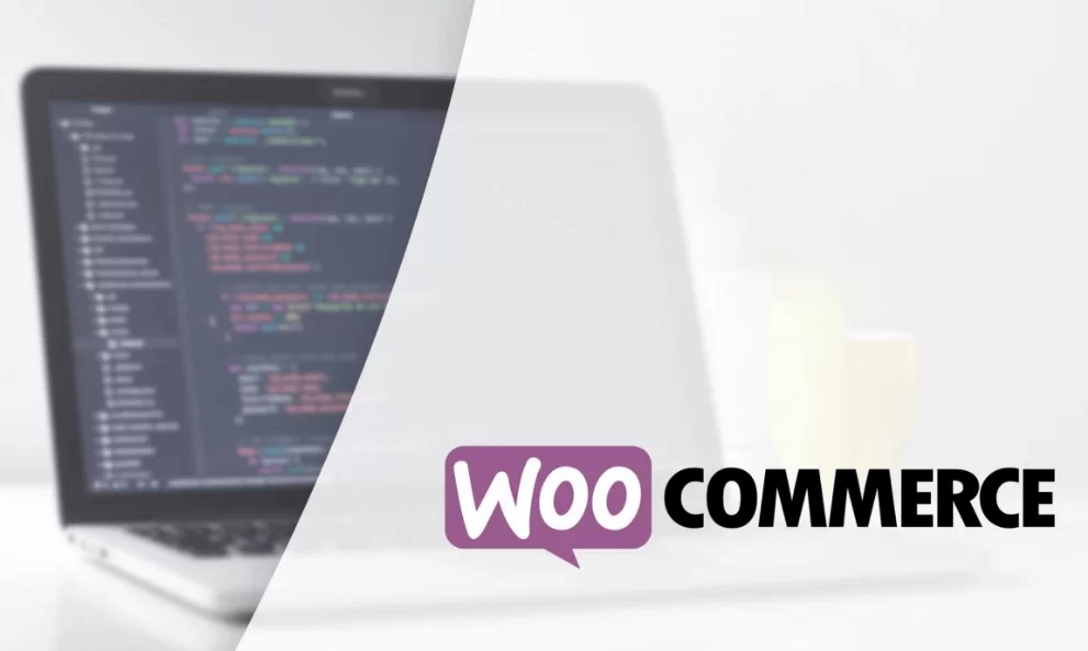 woocommerce plugin development