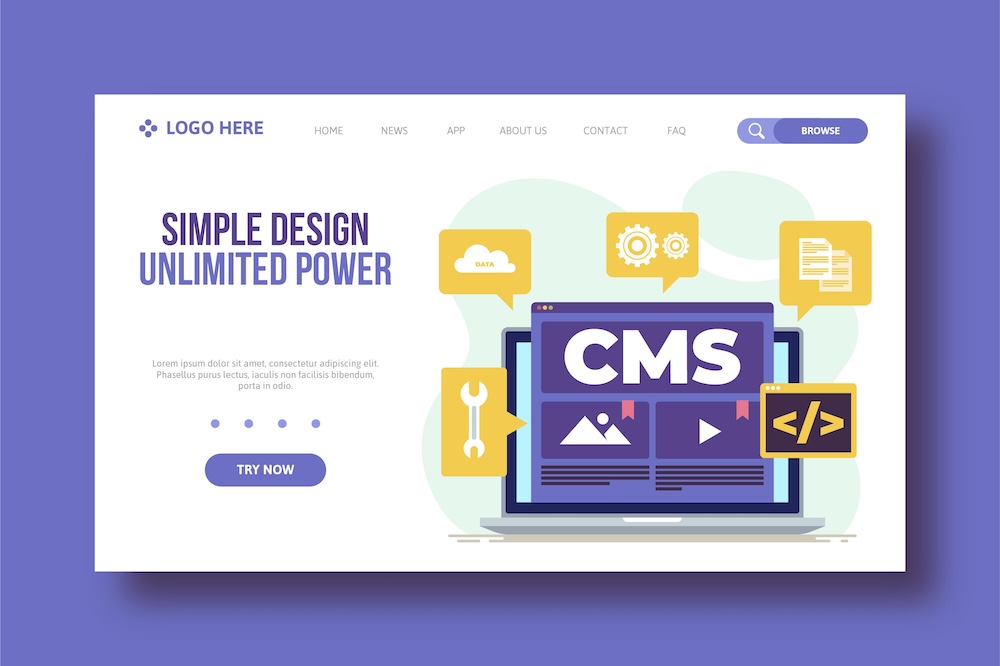 CMS Web Development Services