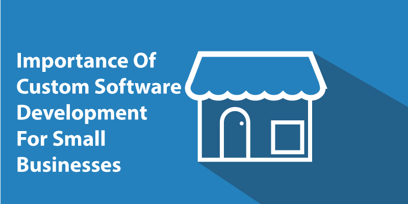 custom software development outsourcing for small businesses