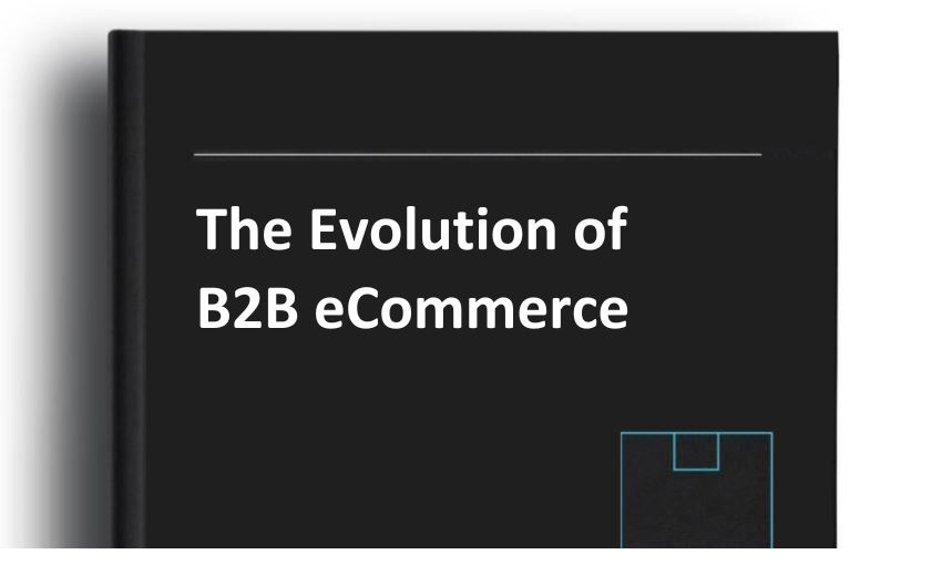 Top 10 B2B eCommerce Best Practices for 2025 Success b2b ecommerce best practices