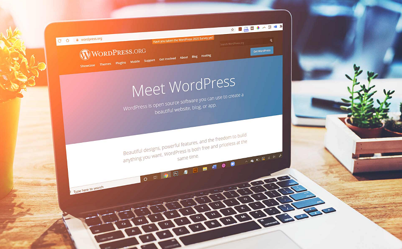 Top 5 công ty cung cấp dịch vụ thiết kế website WordPress uy tín tại Việt Nam dịch vụ thiết kế website wordpress
