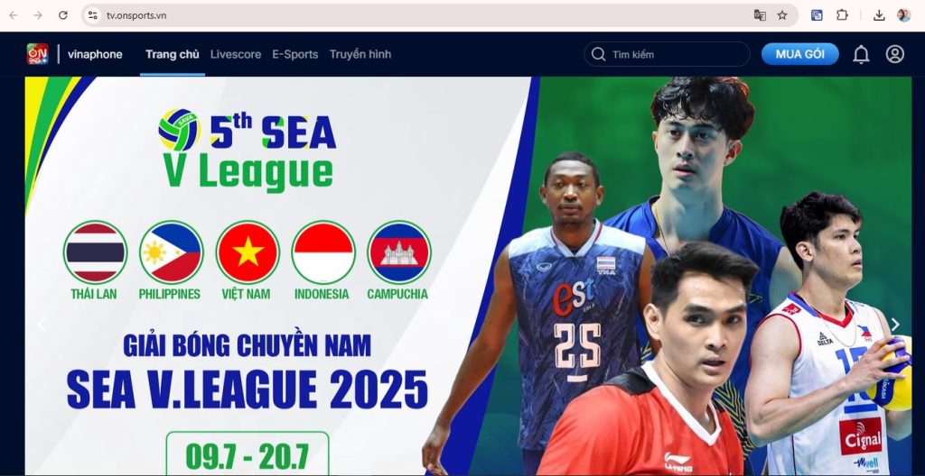 Website Thể Thao Có Thể Mang Lại Lợi Nhuận Như Thế Nào? Website thể thao