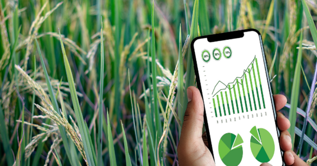 Tại Sao Website Nông Sản Là Chìa Khóa Thành Công Cho Doanh Nghiệp Của Bạn? Website nông sản