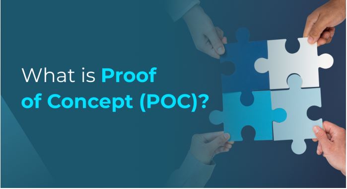 PoC in Software Development: 5 Critical Factors to Ensure Project Success PoC in software development