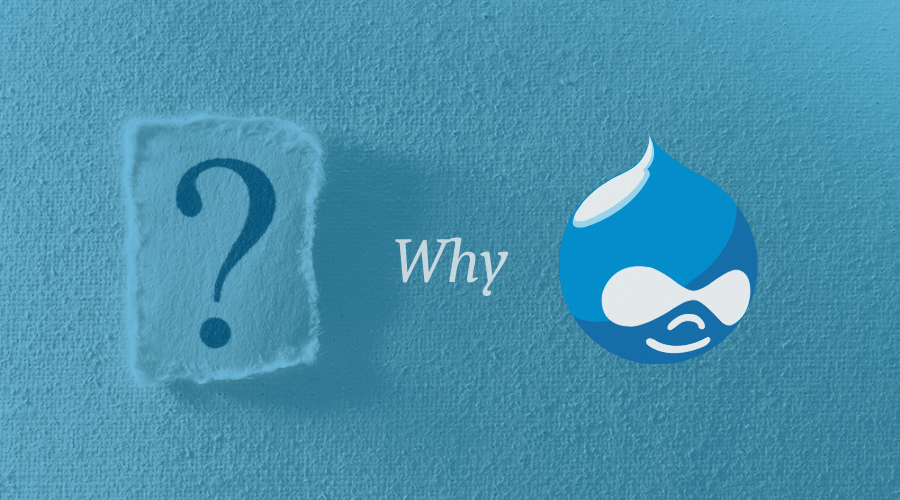 Why Your Business Needs a Drupal CMS Development Company in 2025 Drupal CMS Development Company